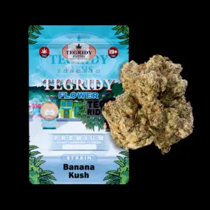"Tegridy Flower Banana Kush AAA cannabis flower featuring dense frosty buds with sticky trichome coverage."
