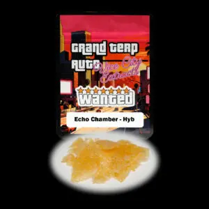 “Grand Terp Auto Echo Chamber shatter concentrate featuring translucent light golden shatter with a clear glass-like appearance and stable texture.”