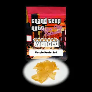 “Grand Terp Auto Purple Kush shatter concentrate featuring translucent light golden shatter with a glass-like appearance and stable snap-and-pull texture.”