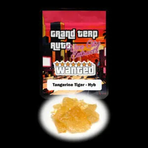 “Grand Terp Auto Tangerine Tiger shatter concentrate featuring translucent light golden shatter with a glass-like appearance and stable snap-and-pull texture.”