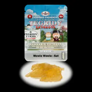 “Tegridy Extracts Mowie Wowie shatter concentrate featuring translucent light golden shatter with a clear glass-like appearance and stable texture.”