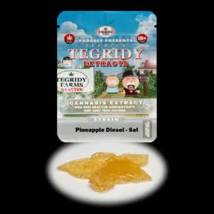 “Tegridy Extracts Pineapple Diesel shatter concentrate featuring translucent light golden shatter with a clear glass-like appearance and stable texture.”