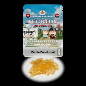 “Tegridy Extracts Purple Punch shatter concentrate featuring translucent light golden shatter with a crystal-clear glass-like appearance and stable texture.”
