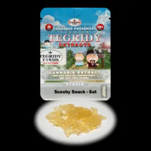 “Tegridy Extracts Scooby Snack shatter concentrate featuring translucent light golden shatter with a clear glass-like appearance and stable texture.”