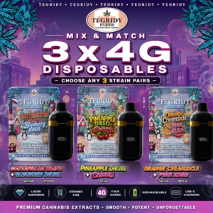 "Tegridy Extracts Mix & Match 3 x 4G disposable vape bundle featuring three customizable Liquid Diamond infused disposable flavours."
