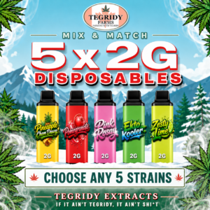"Tegridy Extracts Mix & Match 5 x 2G disposable vape bundle featuring five customizable Liquid Diamond infused disposable flavours."