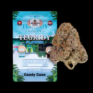 "Tegridy Flower Candy Cane AAAA cannabis flower featuring dense resin-coated buds with heavy frosty trichome coverage."