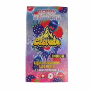 Elevate 2g Disposable - Berry Blizzard