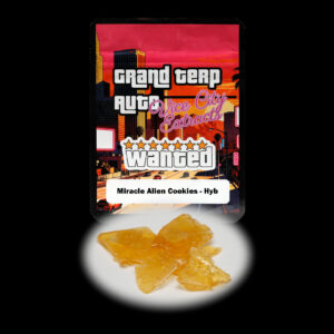 “Grand Terp Auto Miracle Alien Cookies shatter concentrate featuring translucent light golden shatter with a glass-like appearance and stable snap-and-pull texture.”